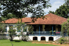 Brazil-Rio/Sao Paulo-Plantation Ride